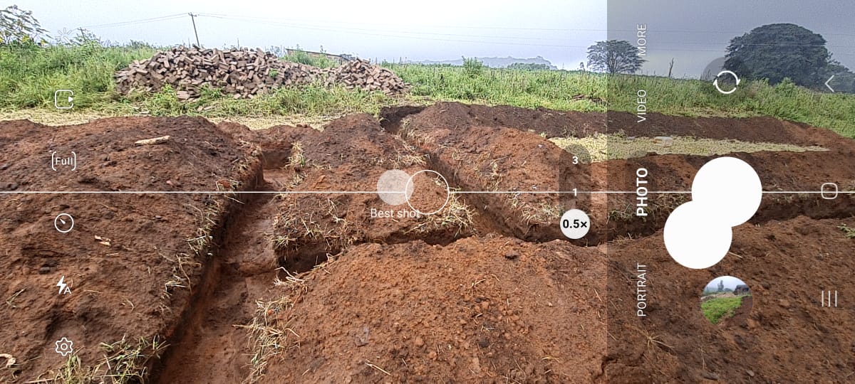 From Farm to Table: How Macadamia Nuts Are Processed